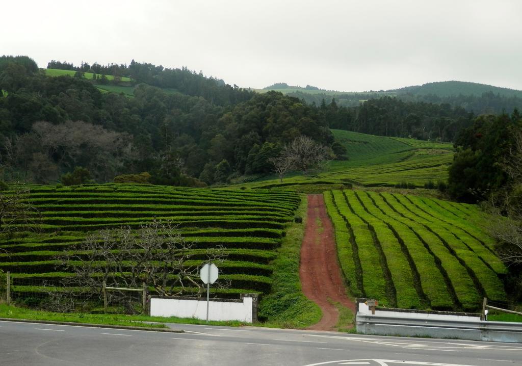 Azorean Sunset Loft Ribeira Grande Dış mekan fotoğraf